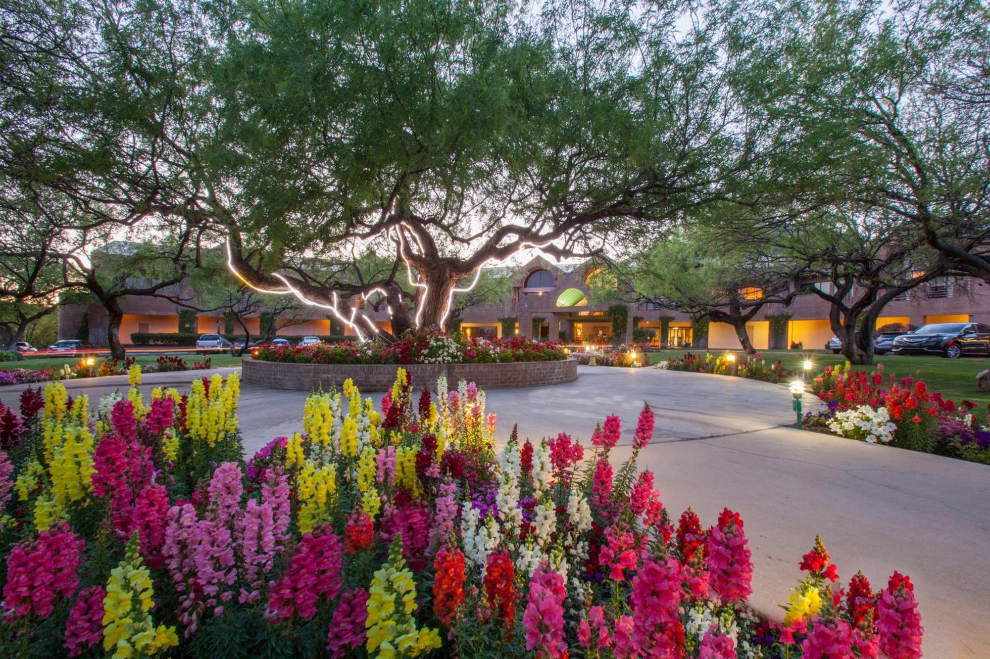The Lodge At Ventana Canyon Tucson Exterior photo